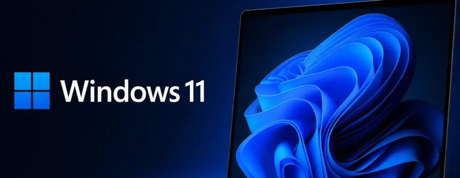 Windows 11 Clean Install