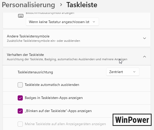 Windows 11 zwei Monitore Problem schwarzer Bildschirm kein Signal Taskleiste