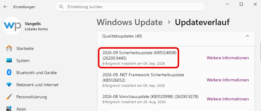 Windows 11 KB5124008 Probleme